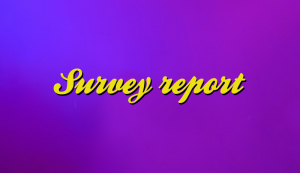 Survey Report