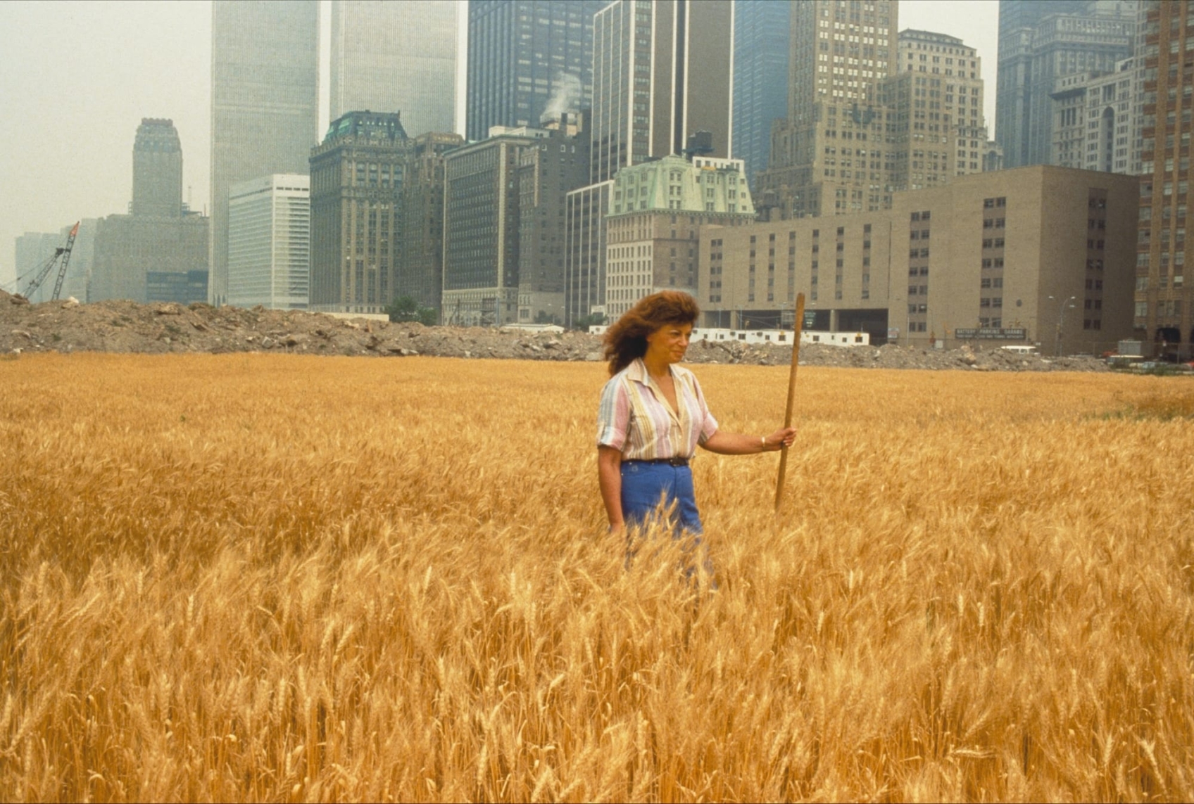 Agnes Denes, “Wheatfield—a Confrontation” (1982). Image courtesy of the Public Art Fund, New York. Photo by John McGrail. All images courtesy of Lauren O’Neill-Butler, shared with permission